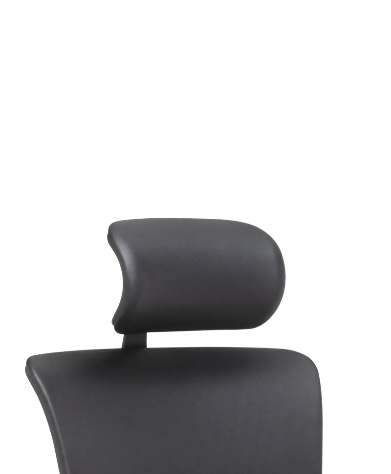 X4 Headrest