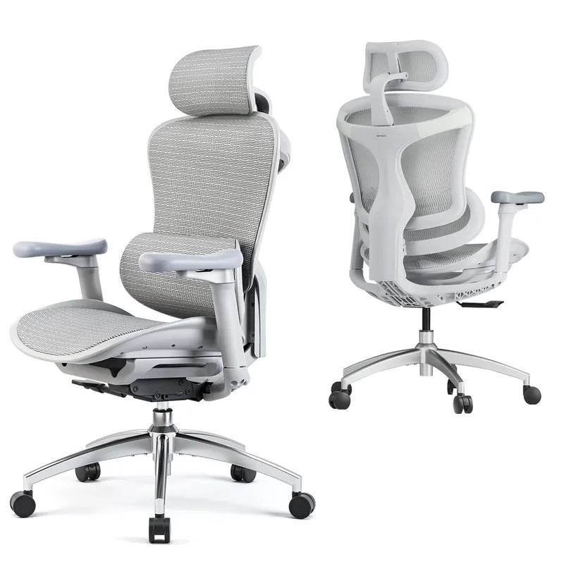Sihoo Doro-C300 Ergonomic Chair, 3D Armrests Swivel Chair, Adaptive Lumbar Support Office Chair, Ergonomic Desk Chairs for Adults, Comfort Home Office Chair, Gray
