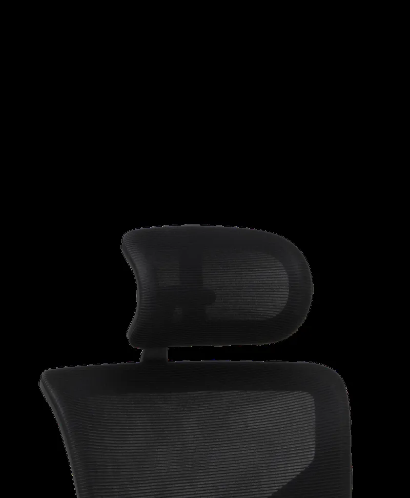 X3 Headrest