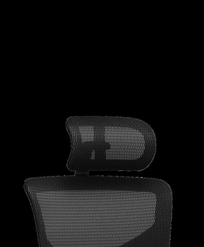X2 Headrest
