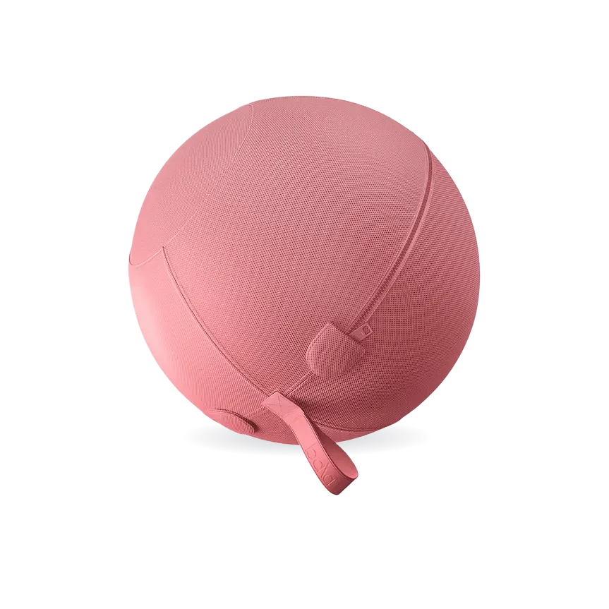 Bala Balance Ball