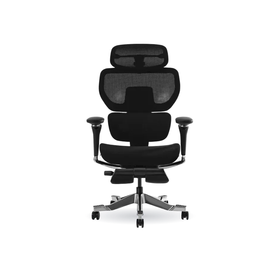 Premium Back Support Ergo Chair (C7 Morpher)