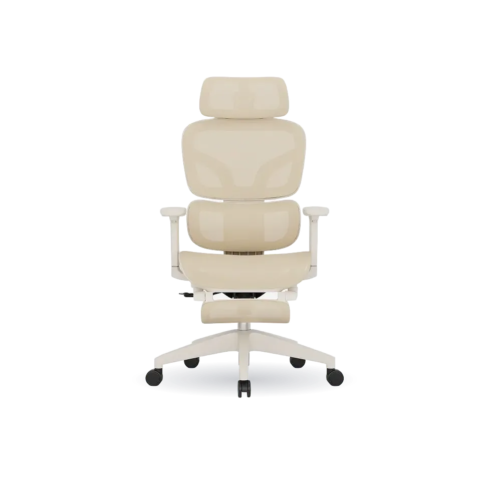 Standard Ergo Office Chair (C4)