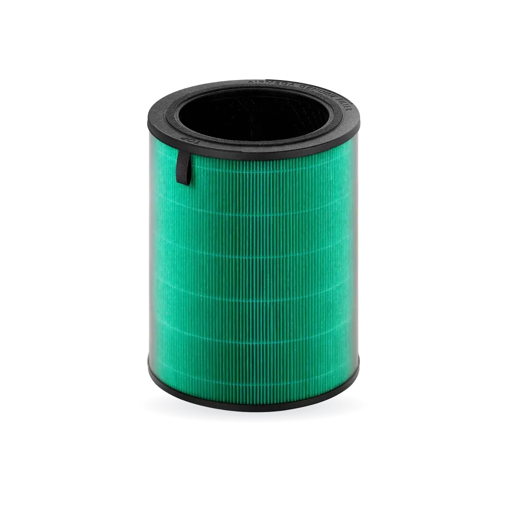 Airmega 350 Filter