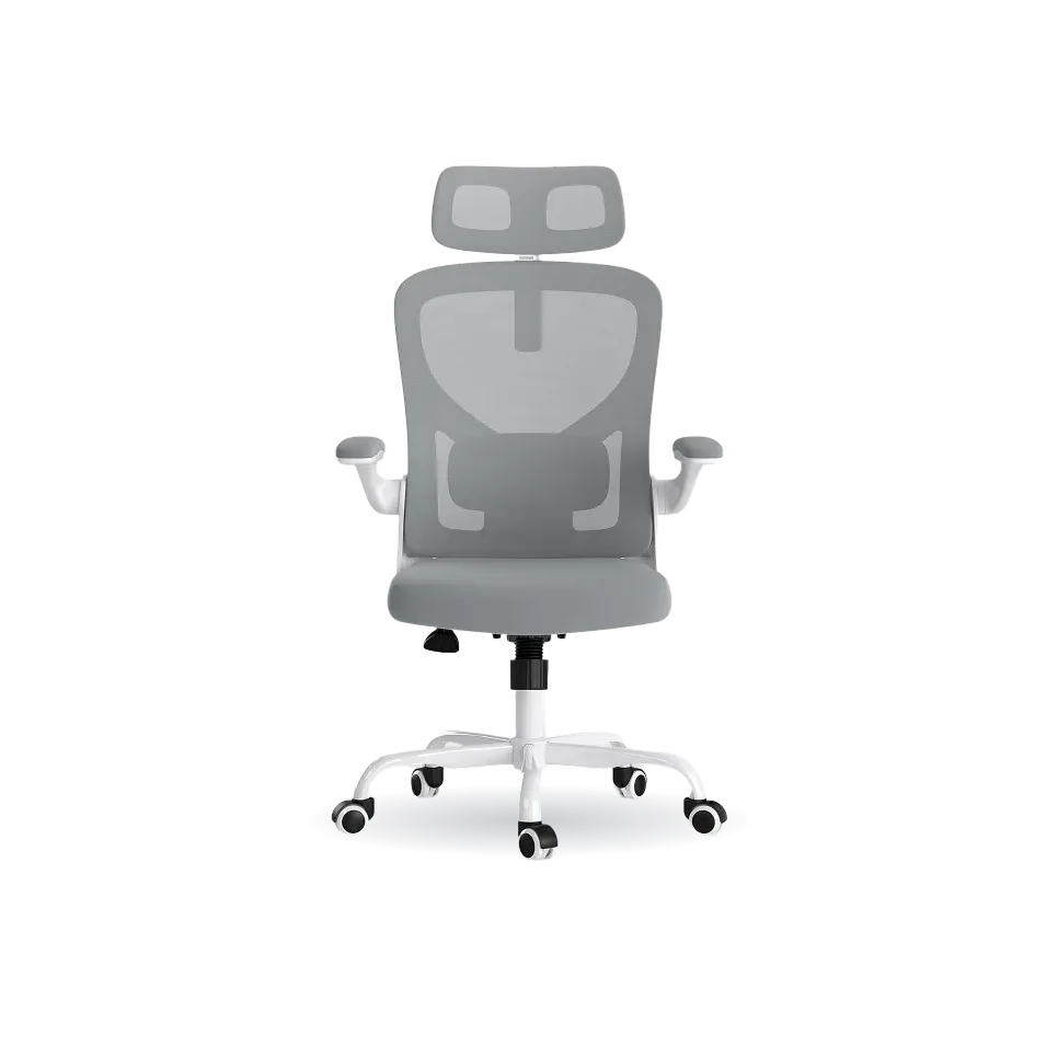 Ergonomic Office Chair (C2)