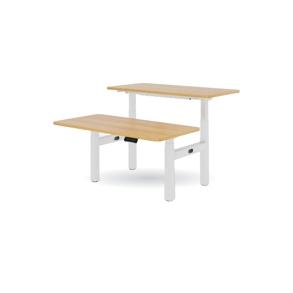 Premium Two-Person Standing Desk