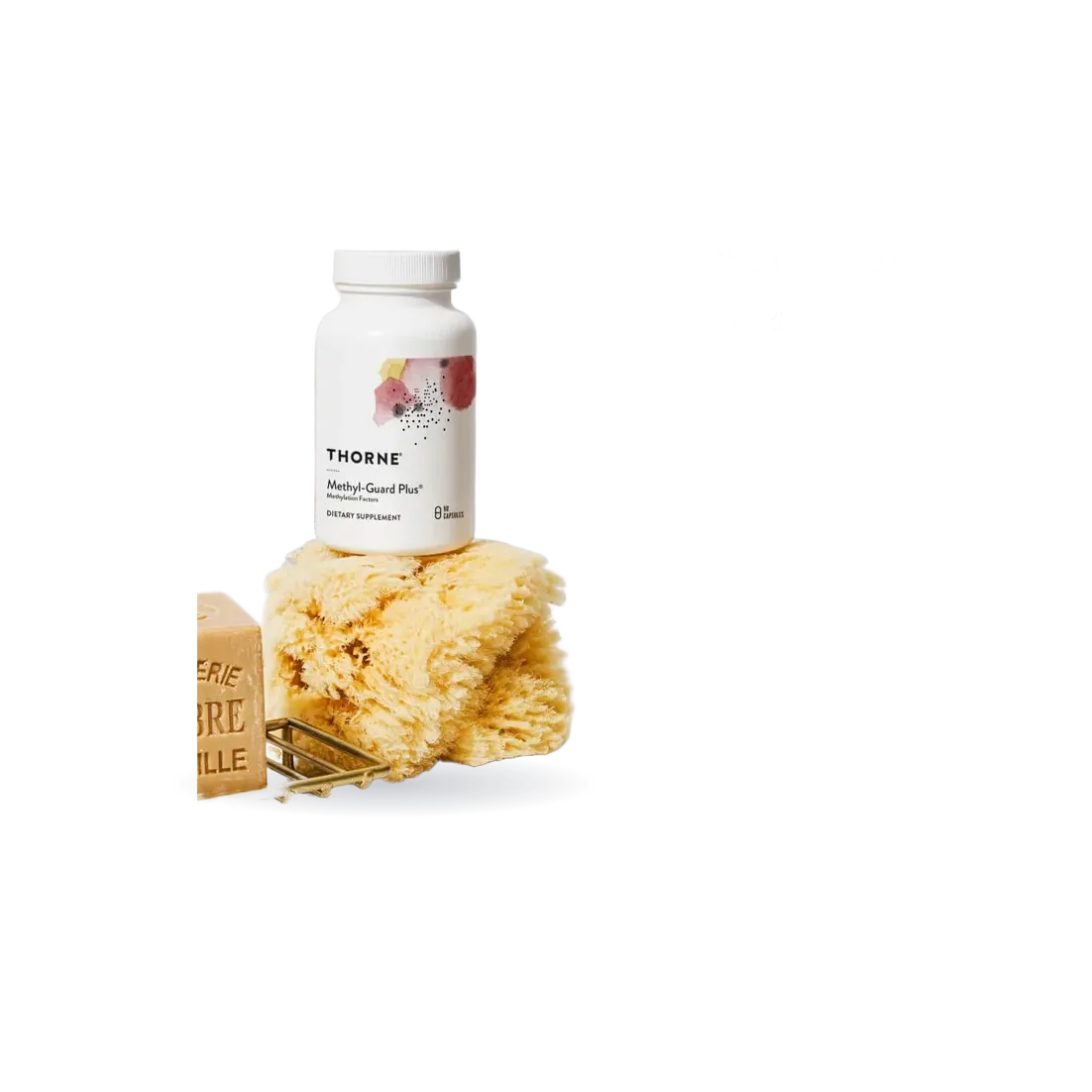Methyl-Guard Plus®
