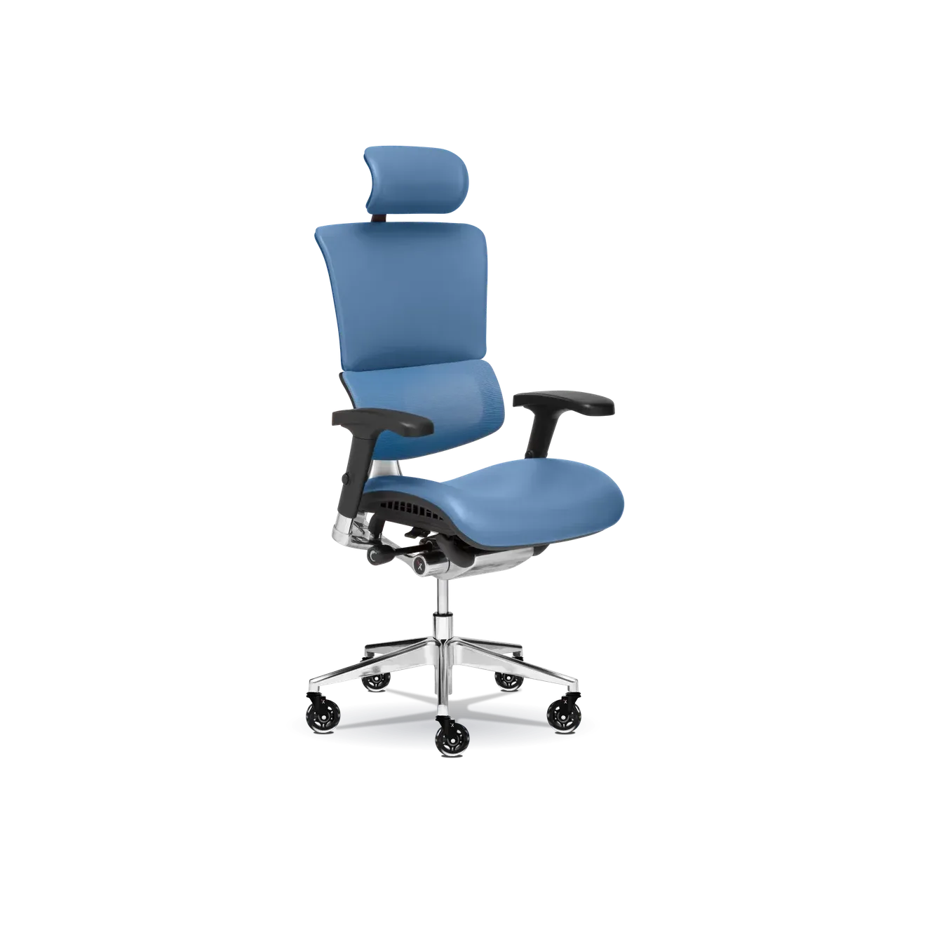 X-Tech Executive
