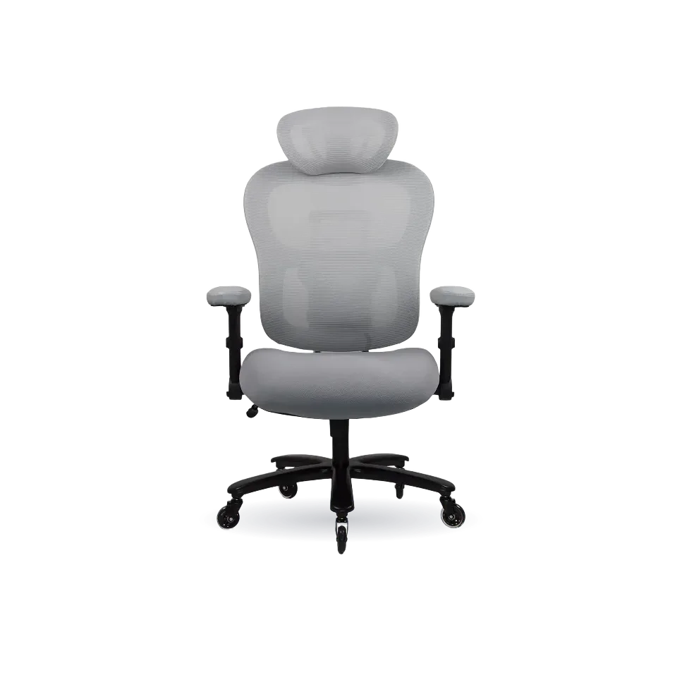 Big and Tall Ergonomic Chair (C3)