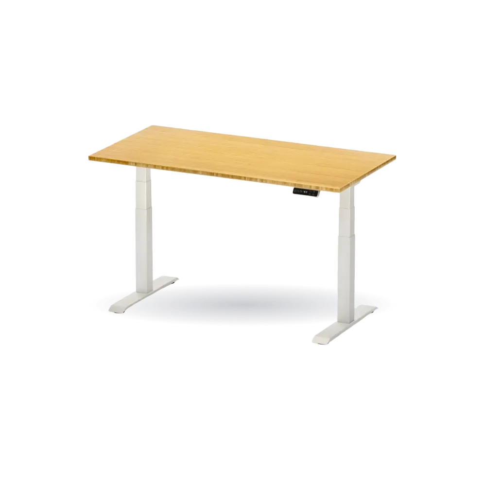 FlexiSpot Premium Standing Desk (E7)