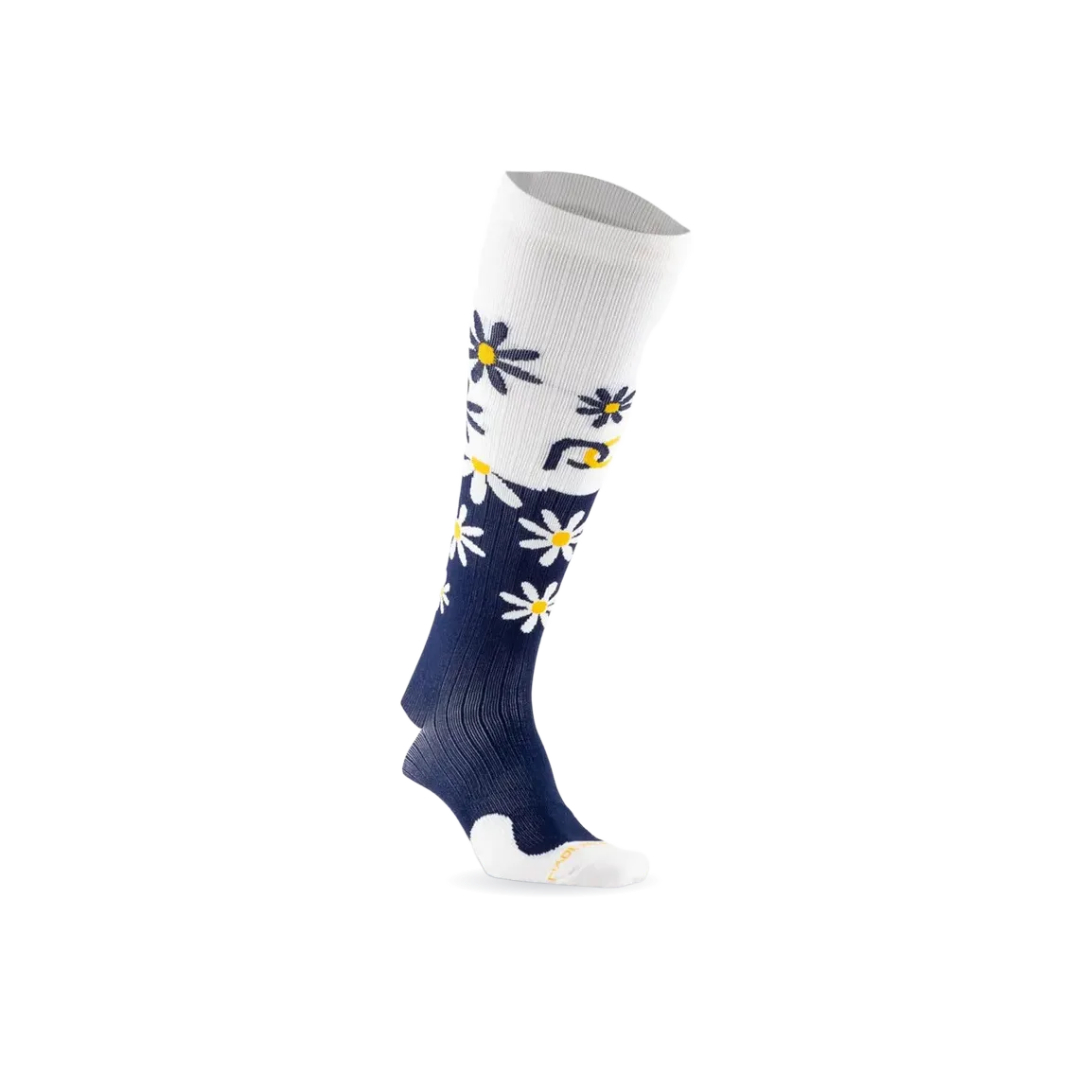 Marathon, Navy Blue Daisies