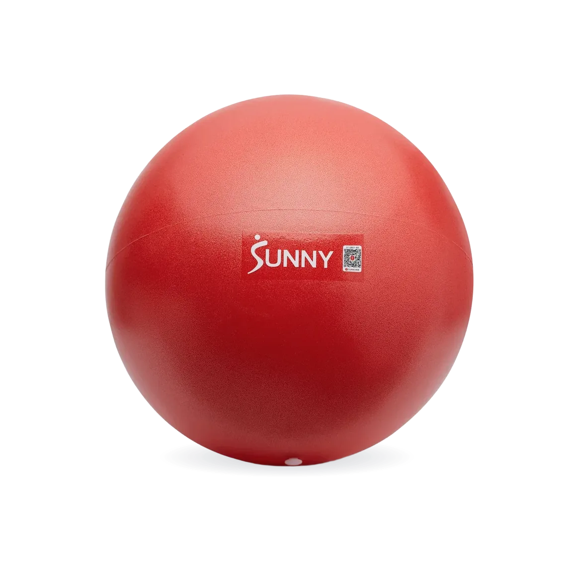 Premium Pilates Ball 9”
