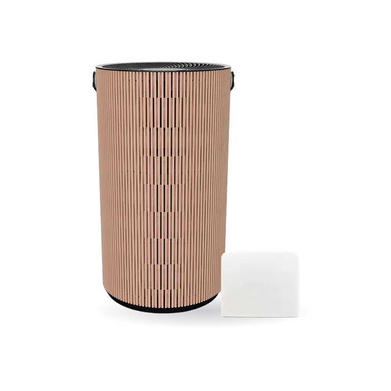 Atem Earth Air Purifier and AirVisual Outdoor Bundle