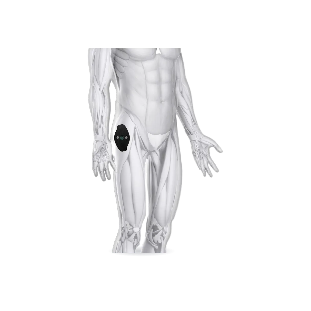 Halo TFL/Hip Flexor Pad Set 6-Pack
