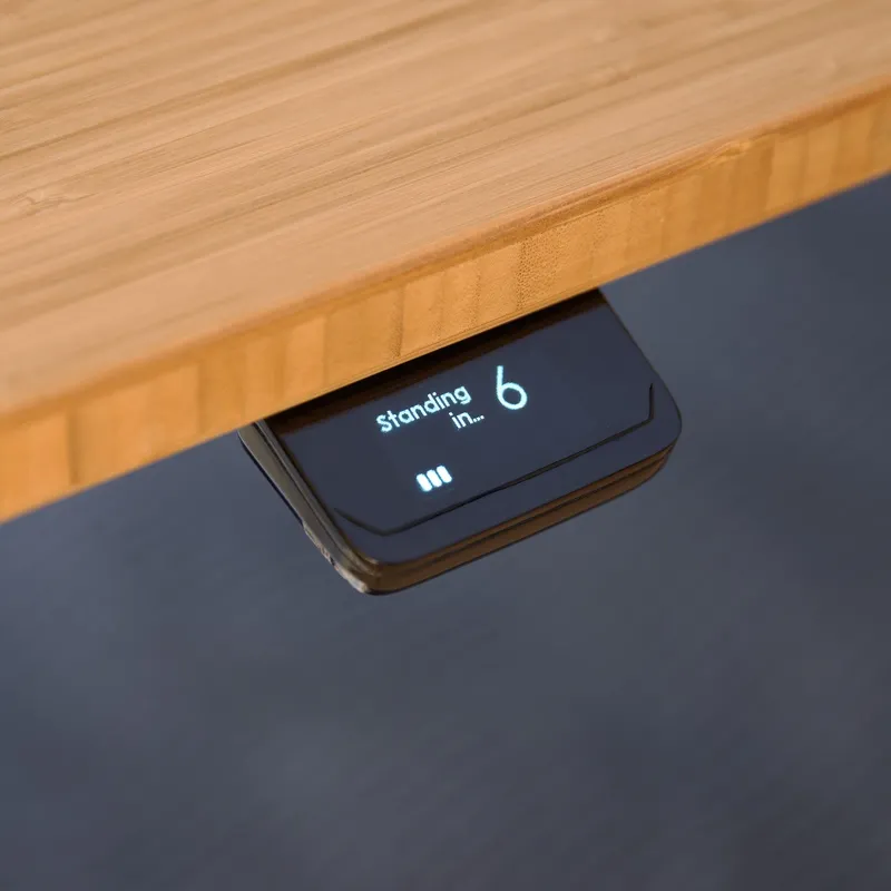 Tempo Standing Desk Companion