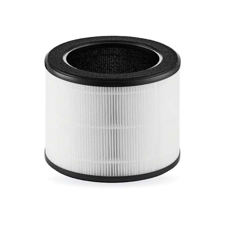 Airmega 100 Filter