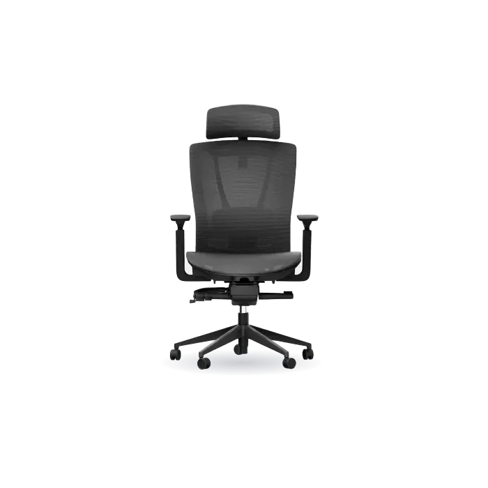 ErgoChair Mesh
