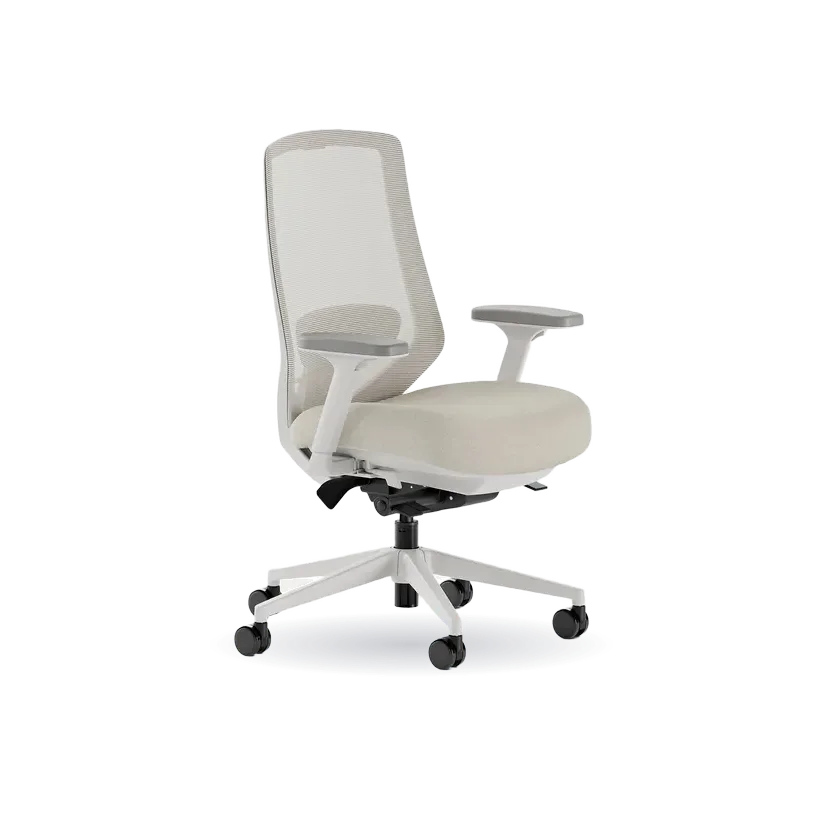 Branch Ergonomic Chair Pro