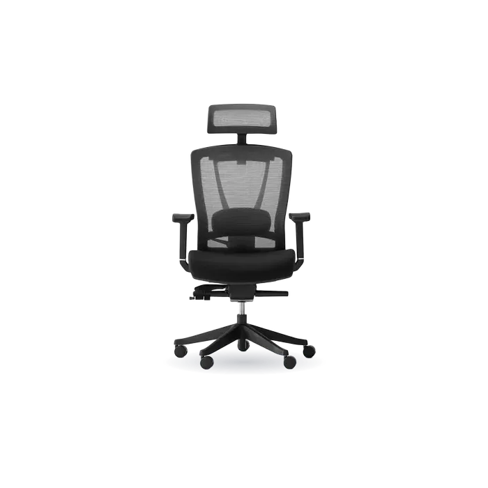 ErgoChair Pro