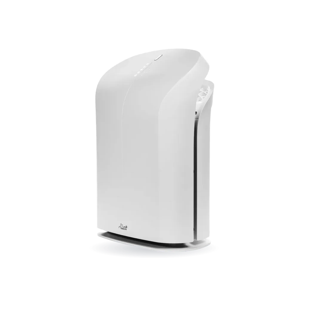 BioGS 2.0 Ultra Quiet Air Purifier