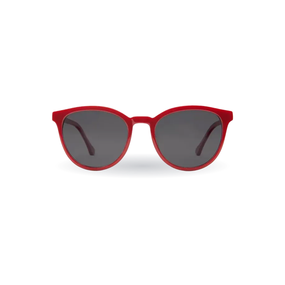 Roman Sunglasses Plano