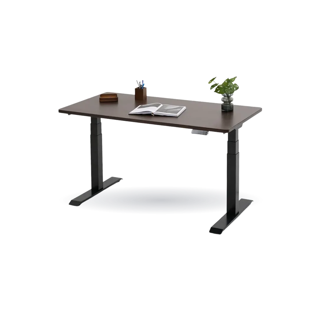Willow Wood Standing Desk