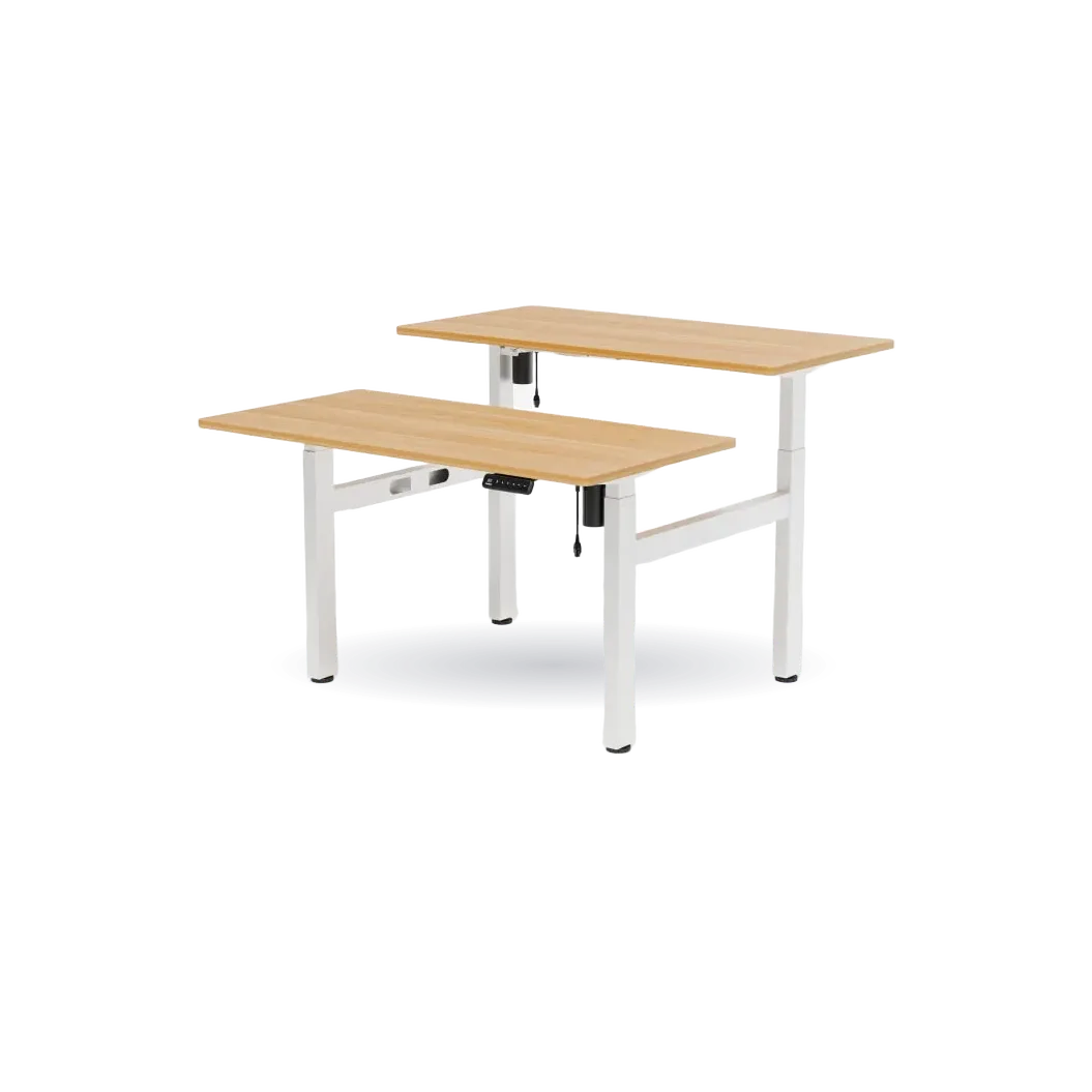 Two-Person Standing Desk EH1