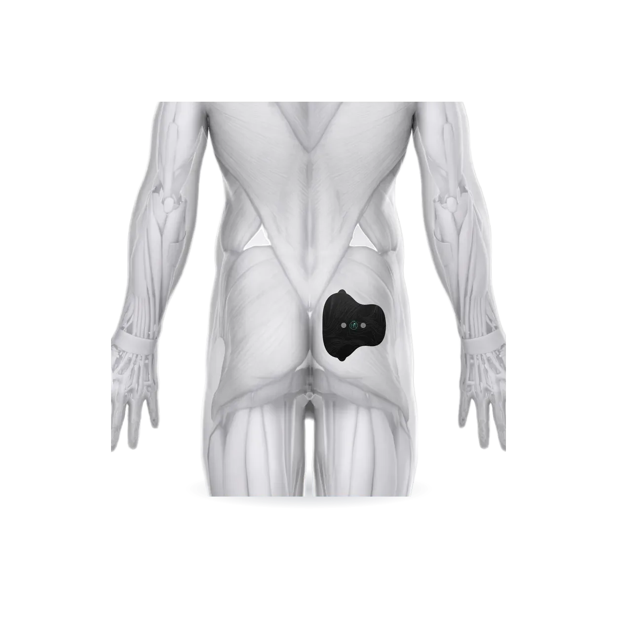 Halo Lower Body Bundle