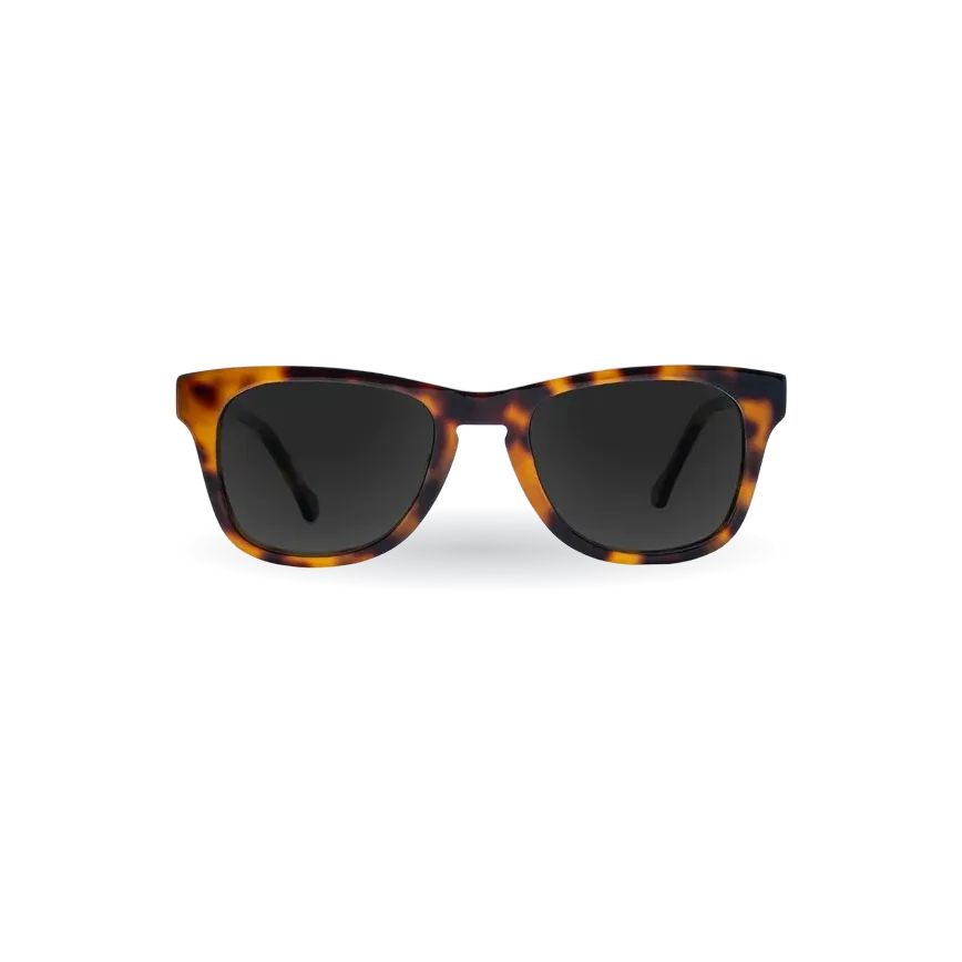 Phoenix Sunglasses Plano