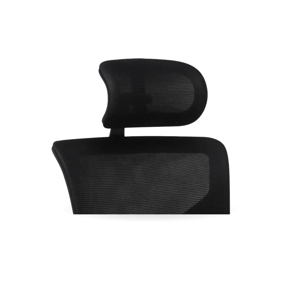 X3 Headrest